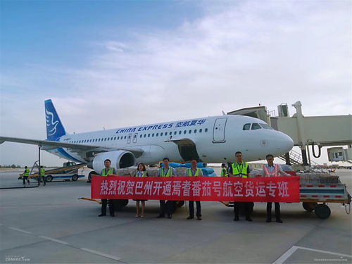 庫爾勒機場年旅客吞吐量突破220萬人次，空運與道路貨運協同發展助推區域經濟